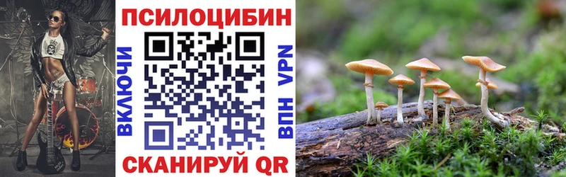 Галлюциногенные грибы мухоморы  как найти закладки  Гудермес 